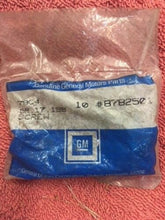 Load image into Gallery viewer, 1970 - 1972 Chevrolet Chevelle Station Wagon NOS (1) Tailgate Latch Screw #8782501